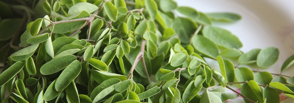 Moringa