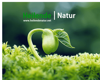 Heilende Natur