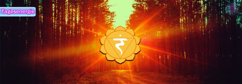 daily energy