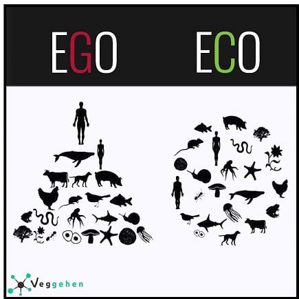 EGO - ECO