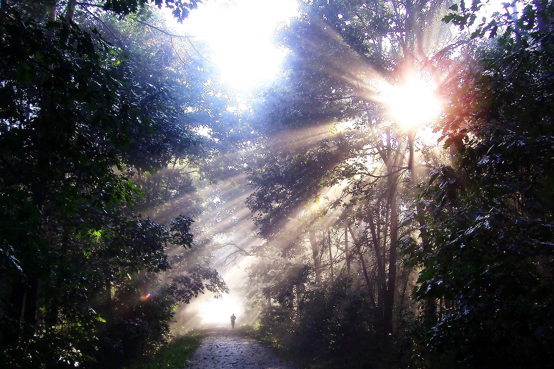 Sonne im Sternzeichen Wassermann