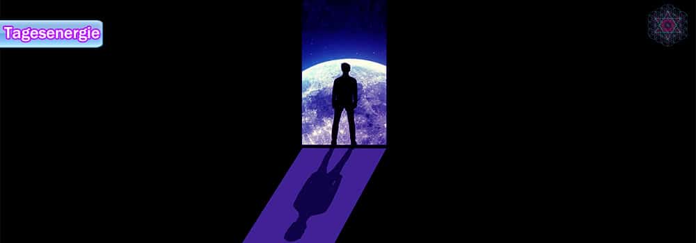 portal day