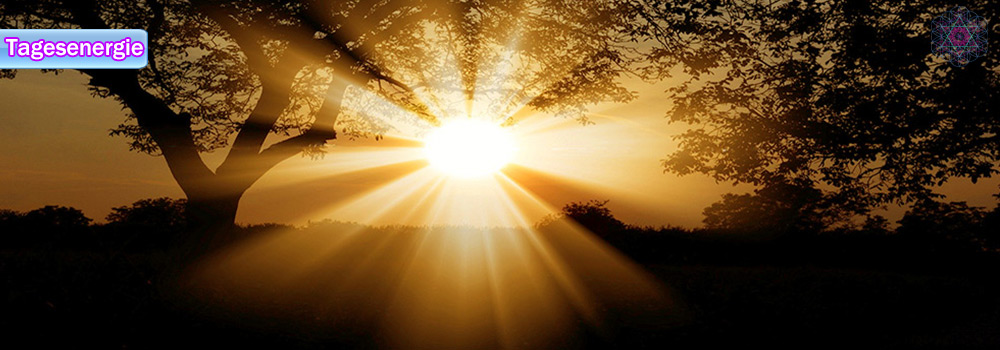 energía diaria