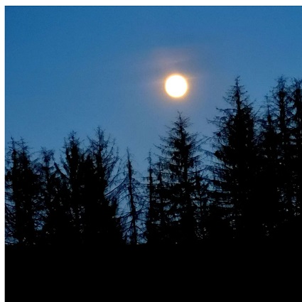 Vollmond im Stier