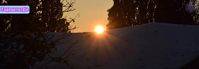 দৈনিক শক্তি