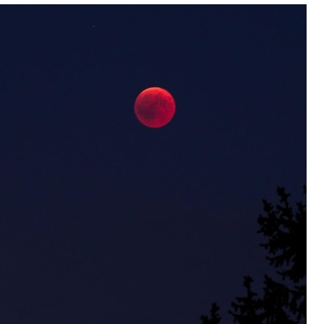 Blutmond