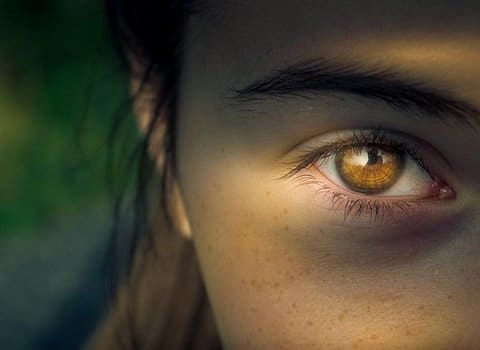 Auge iris erkenntnis