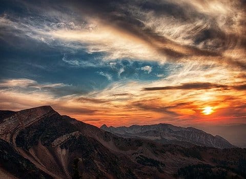 Baum Savanne Sonnenuntergang