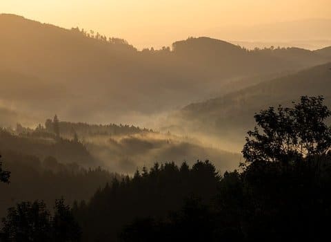 Berge Nebel Morgen Sommer