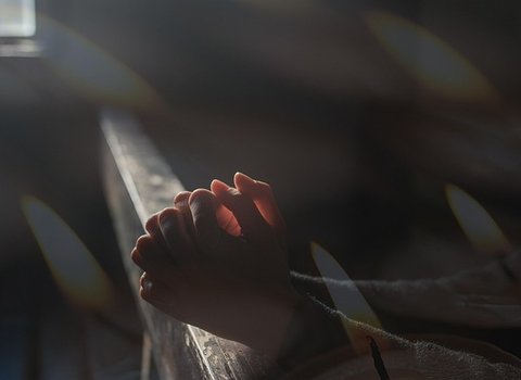 Betende Haende Olivenzweig