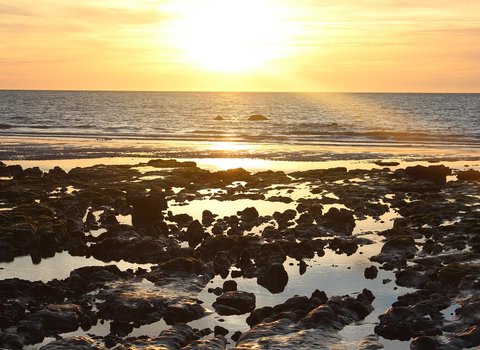 Goldenes Licht Sommer Feld