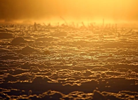 Goldenes Wasser Sonnenlicht