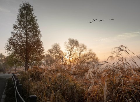 Graeser Golden Sonnenuntergang