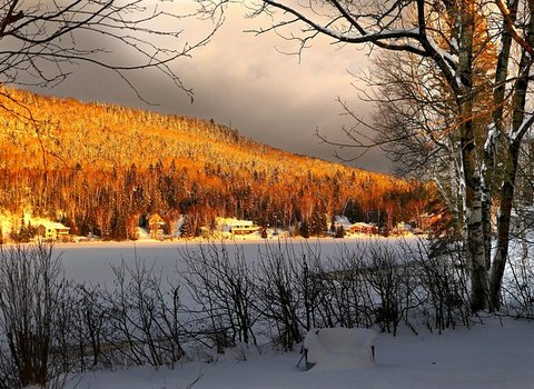 Herbstlaub Golden Warm