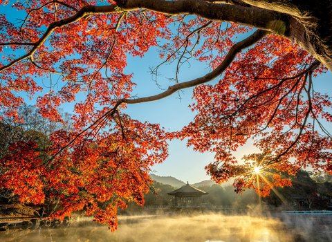 Herbstwald Sonnenuntergang