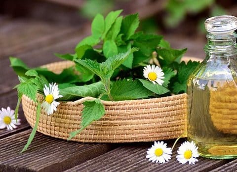 Kamille Kräuter Öl