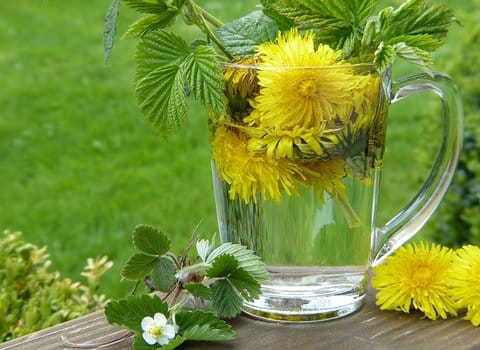 Kräutertee Glas Natürlich