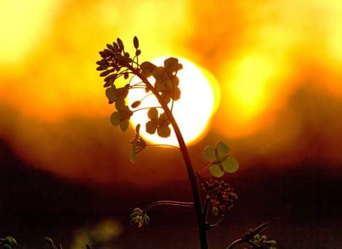 Mensch Stuhl Sonnenuntergang