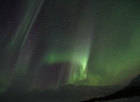 Nordlicht Grün Nacht