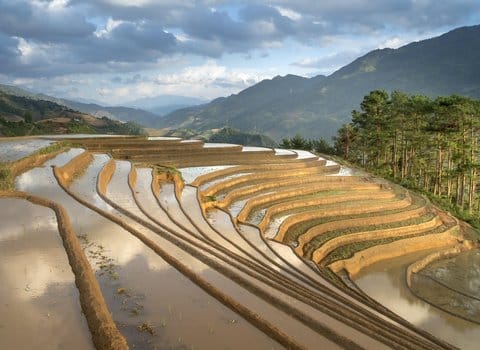 Paar Sonnenuntergang Liebe