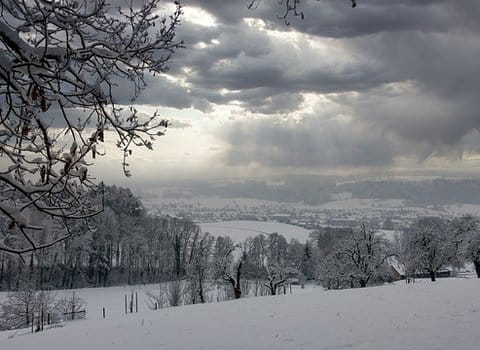 Schneefeld Weiss Winter