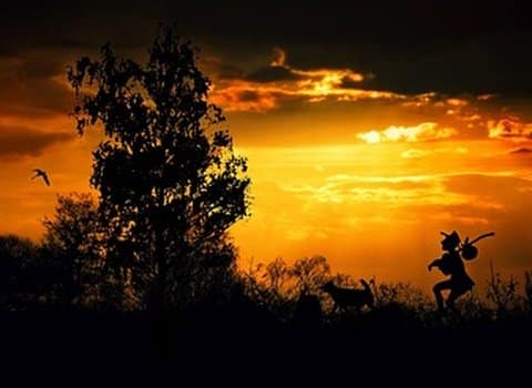 Sonnenuntergang Baum Feuerhimmel