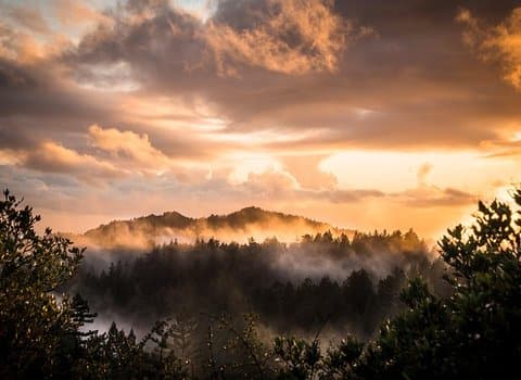 Sonnenuntergang Feld Golden