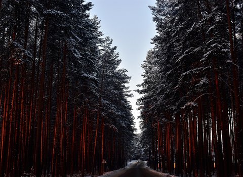 Sonnenuntergang Schnee Feld