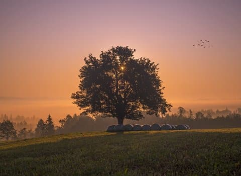 Strand Herbst Sonnenuntergang