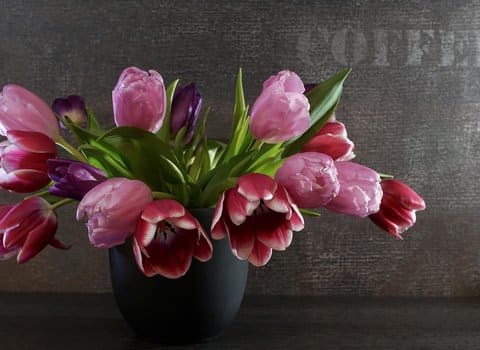 Tulpen Rosa Vase