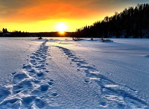Verschneiter Pfad Winter