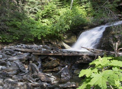 Wasserfall Wald Grün