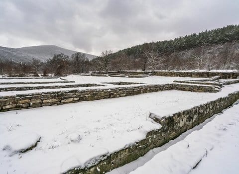 Winterbaeume Reif Kalt