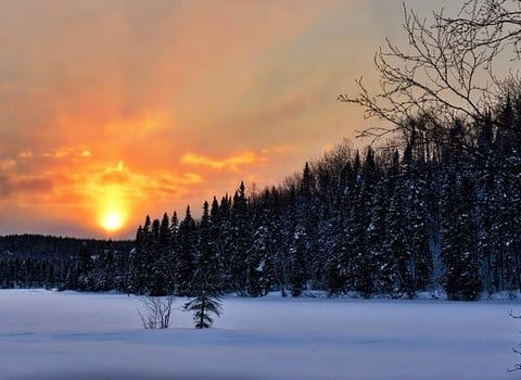 Winterdorf Schnee Tannen
