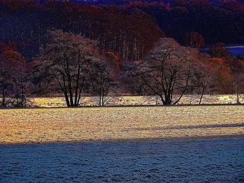 Winterwald Schnee Stille