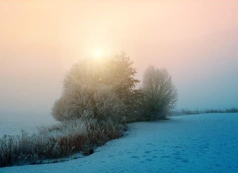 Winterwald Sonnenstrahlen