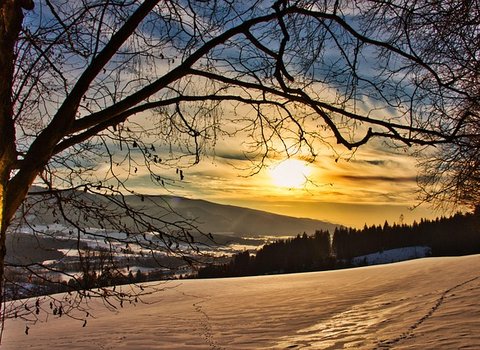 Winterwald Sonnenuntergang Schnee