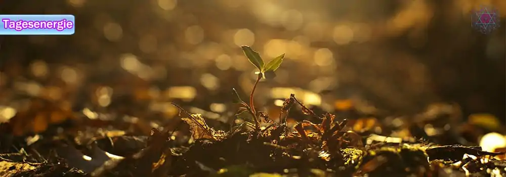 Tagesenergie am 16. Januar 2018 (Die Verwirklichung unserer Ideale - Neustart) 4