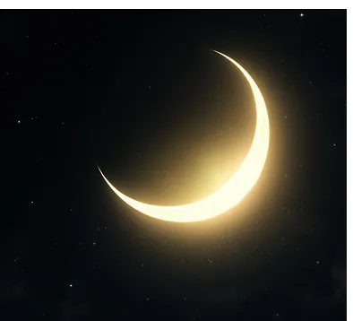 NEUMOND im Sternzeichen KREBS